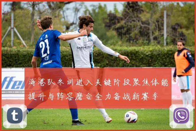 海港队冬训进入关键阶段聚焦体能提升与阵容磨合全力备战新赛季