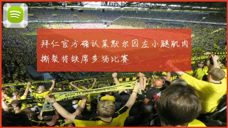 拜仁官方确认莱默尔因左小腿肌肉撕裂将缺席多场比赛